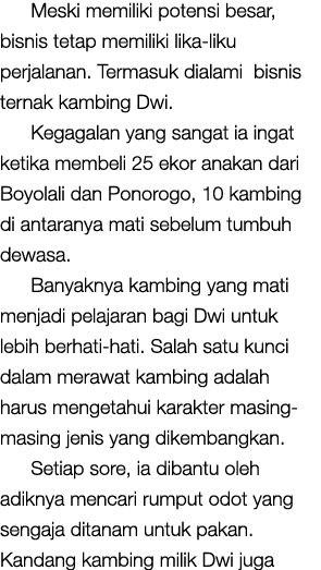 Meski memiliki potensi besar, bisnis tetap memiliki lika-liku perjalanan  Termasuk dialami bisnis ternak kambing Dwi    