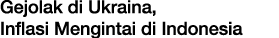 Gejolak di Ukraina, Inflasi Mengintai di Indonesia