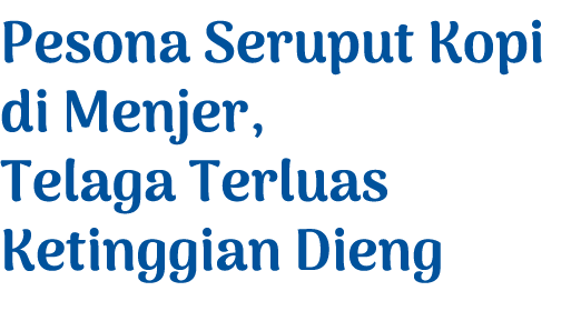 Pesona Seruput Kopi di Menjer, Telaga Terluas Ketinggian Dieng