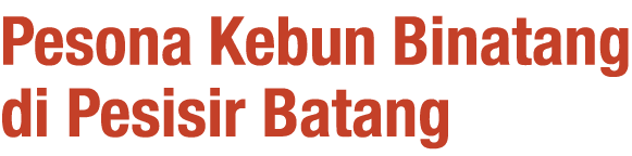 Pesona Kebun Binatang di Pesisir Batang