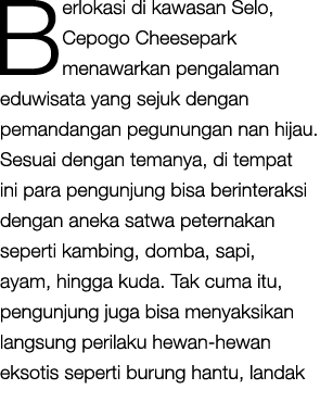 Berlokasi di kawasan Selo, Cepogo Cheesepark menawarkan pengalaman eduwisata yang sejuk dengan pemandangan pegunungan...