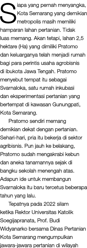 Siapa yang pernah menyangka, Kota Semarang yang demikian metropolis masih memiliki hamparan lahan pertanian. Tidak lu...